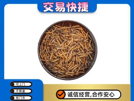 克拉玛依礼品回收虫草.jpg